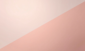 ツートンカラー