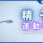 精子運動率の基準値は？数値が低い原因と自分でできる改善策まとめ