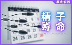 精子の寿命とは？受精の仕組みや妊娠しやすいタイミングなどを解説